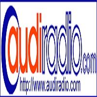 Audi Radio